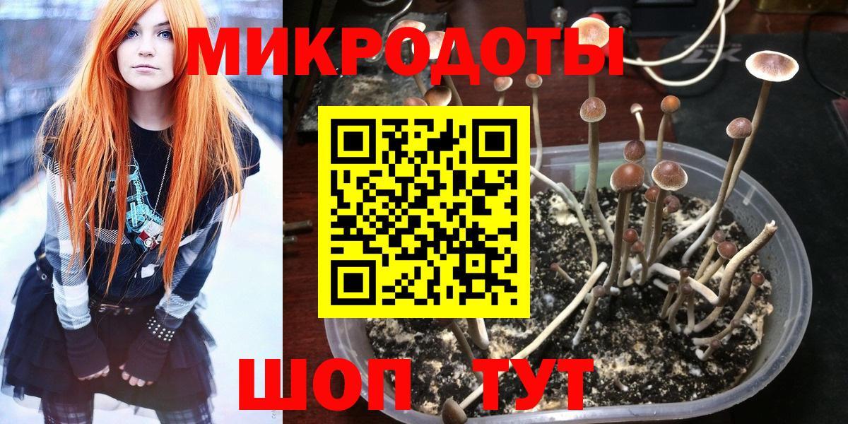 Галлюциногенные грибы Cubensis  Вход с VPN  где найти наркотики  Псилоцибиновые грибы GOLDEN TEACHER  Карабулак 